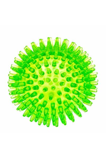 Ferplast Thermoplastic Rubber Ball Dog Toy √ò8 cm (PA 6414)
