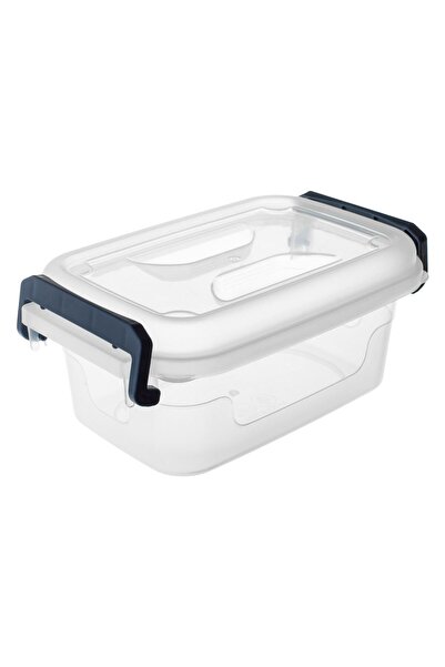 OEM Transparent Plastic Storage Box with Lid & Blue Handles 2.5L