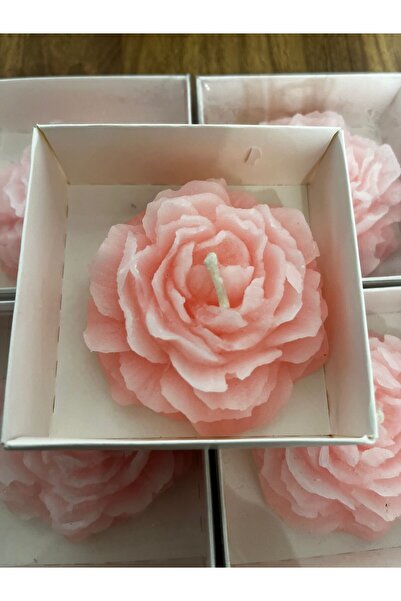 Ziva DEKOR PEMBE ŞAKAYIK MUM 10 ADET