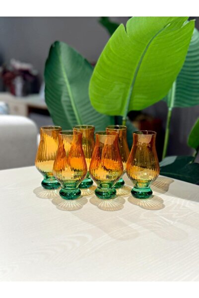 ROY KING Royking Optikli Kahve Yanı Bardak 6'lı Bal Yeşil YV-512