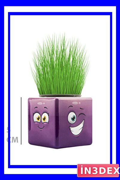 İN3DEX Cube-Shaped Grass Growing Kit with Emoji Pattern