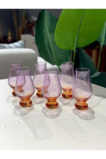 ROY KING Royking Optikli Kahve Yanı Bardak 6'lı Mor-Kahve YV-514