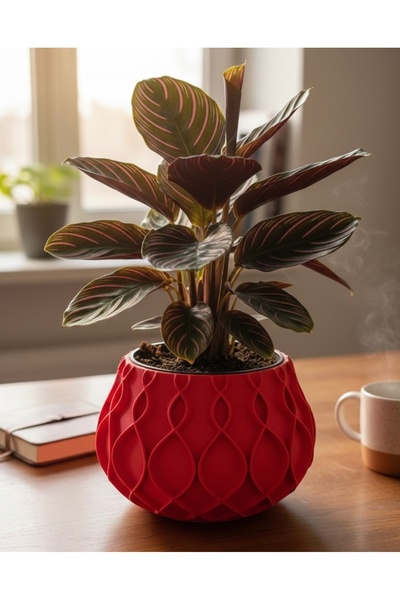 Harmony Tasarım Beton Saksı