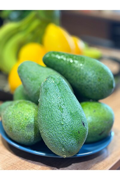 Akın Tarım Yerli Avokado 1 kg (150-250 gr) dalından sofranıza…