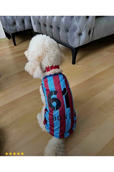 FeyzaDesign Kedi ve köpek isimli, numaralı Trabzonspor renkleri taraftar forması