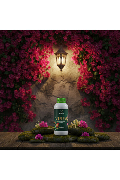 Begonvil ve Hanımeli İçin Hızlı Büyüme - Vinea Üçlü 250 ml (3 Adet) Dış Mekan Süs Bitkisi Besini