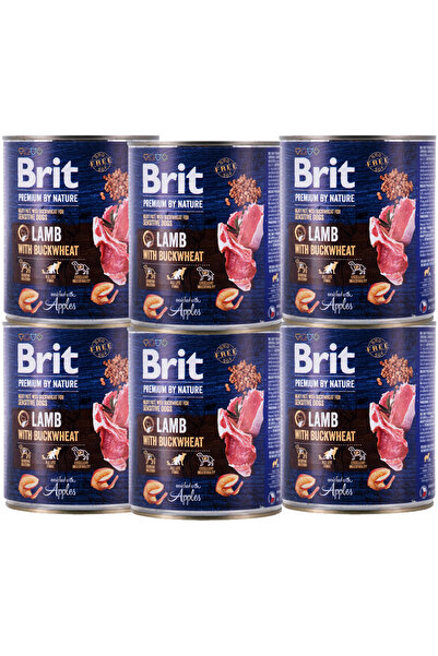 Other Brit Premium By Nature Miel și Hrișcă 12x800g