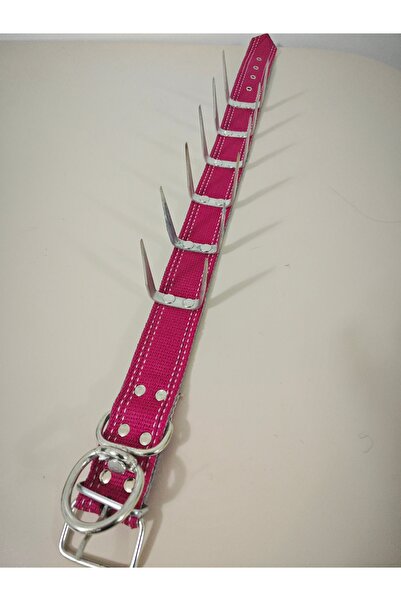 HBM MARKET 37 Spiked Collar Wolf Bullfighting Dog Collar
