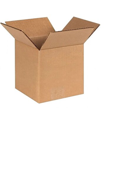OEM SET 10 BUCATI ,Cutie Carton CO3 320X250X200 Natur