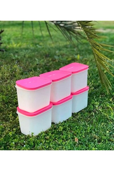 Tupperware 6 قطع 1.1 لتر ألاسكا.