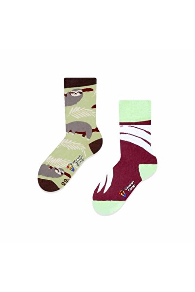 Limmon Store Koala Claw Colorful Children's Socks
