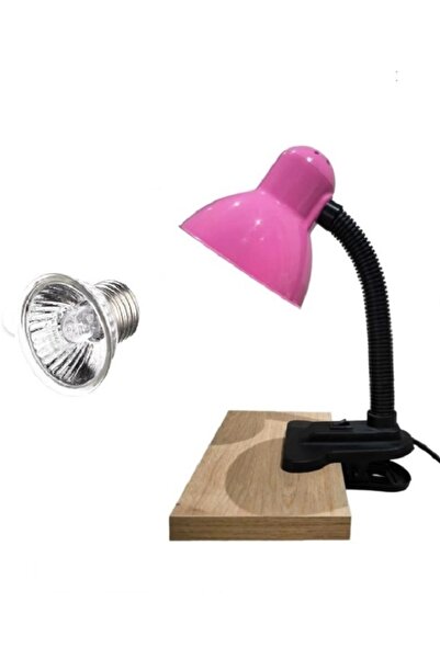 KORHAN TEKNİK Mandallı Akrobat Lamba Tutacağı 25 W Uva/Uvb Lamba Dahil