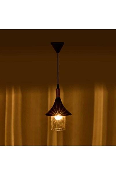 ASPARTAM Lighting Gold Detailed Glass and Metal Pendant Lamp - Black / Gold -...