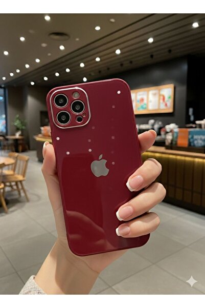 TECNOTREND İPhone 12 PRO Uyumlu LOGOLU Glass Arkası Cam Şık Tasarım Sert KAME...