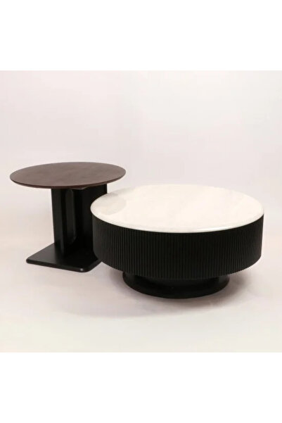 Generic Modern design coffee and side table set in marble and wood with stora...