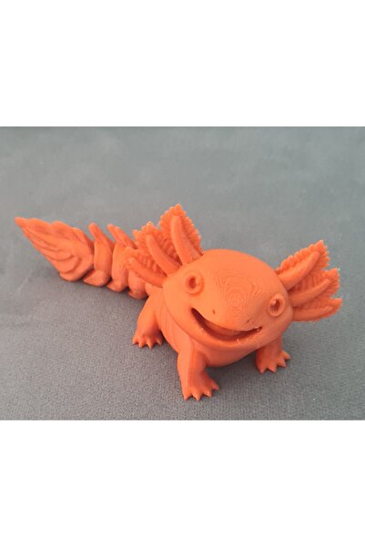 Sadık Pazar AXOLOTL