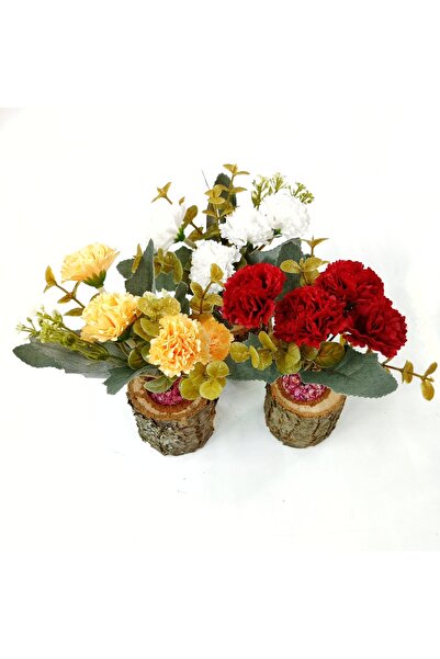 OSKARYUM Karanfil Ağacı Kütük Saksıda 3 Renk