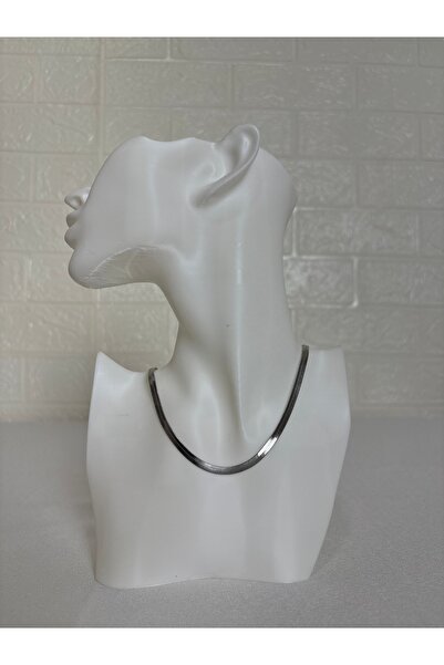 Butik Women's Silver Color Flat Chain Necklace – Modern Stylish Herringbone