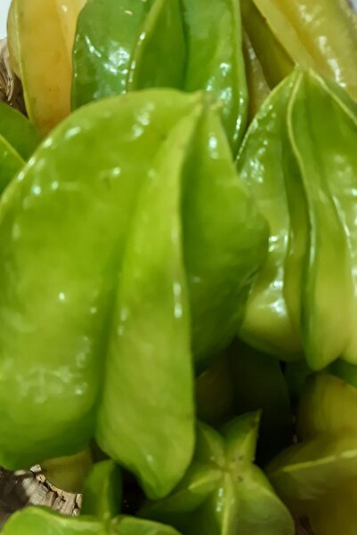 bahcemdenonline 1 ADET YILDIZ MEYVESİ, 1 KG BEBEK AVOKADO