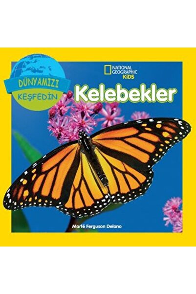 Beta Yayınları NG KEŞFEDİN KELEBEKLER