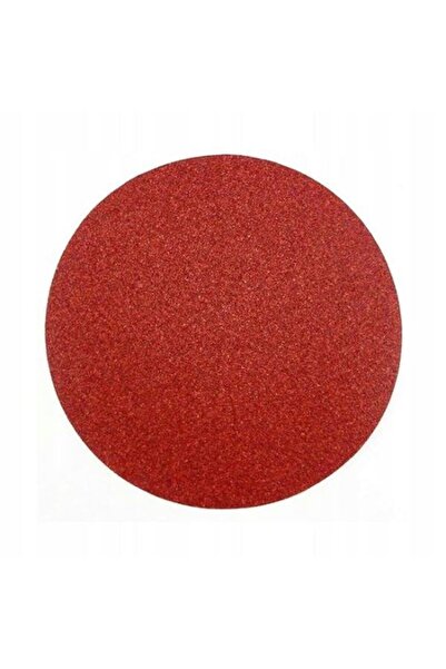 Evelise Set 5 abrazive/smirghel cu scai, P100, 125 mm