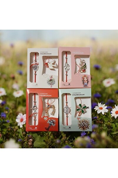 Vision XXI Set of 4 Adjustable Bracelets with Silver Symbol and Color Brooch