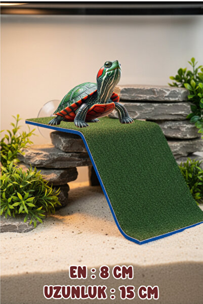 MD JPA Kaplumbaga Rampası Zemin Tipi Kaplumbağa Platformu Kaplumbaga Kayası