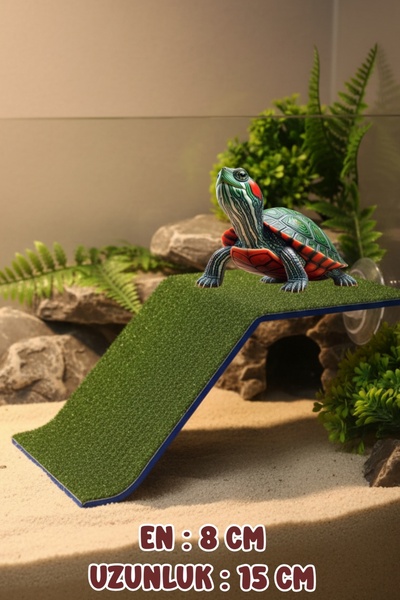 K×MING Kaplumbaga Rampası Zemin Tipi Kaplumbağa Platformu Kaplumbaga Kayası