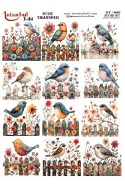 İstanbul Hobi Water Transfer Paper 25X35Cm St-1550