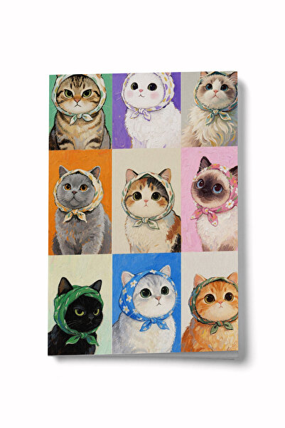 Bi Dünya Haber Stilul nostru este diferența dintre noștre două poziții de ved...