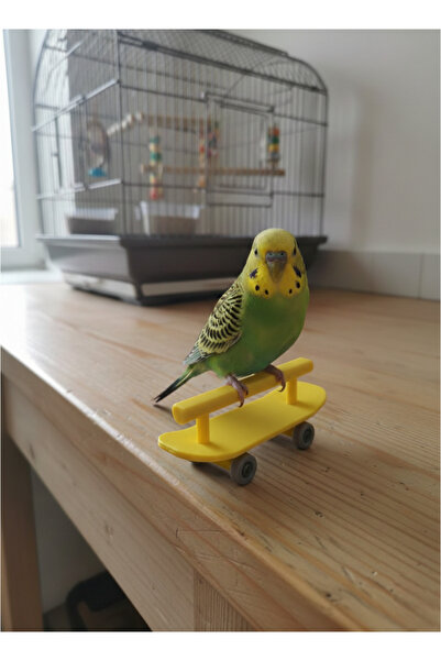 MD×JOA Muhabbet Kuşu Tünek Kaykaylı Kuş Tünegi