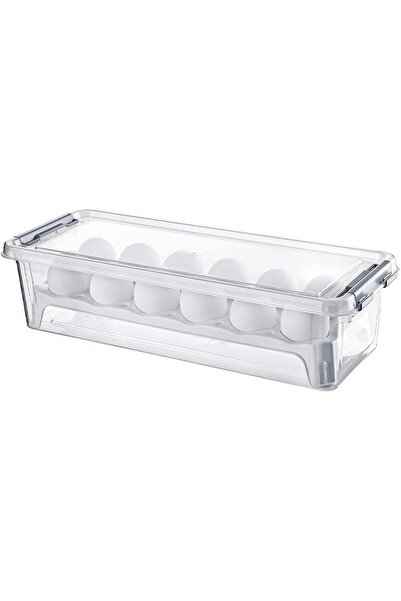 Hobby Life Storage Box For 12 Eggs