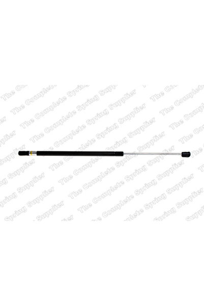 RINGER Amortizor Portbagaj Spate Ford Fiesta 5