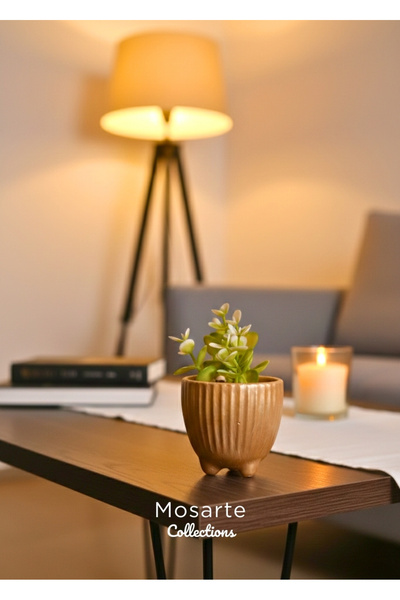 Mosarte مزهرية صغيرة مستديرة من الجبس بتصميم مموج / قطعة ديكور