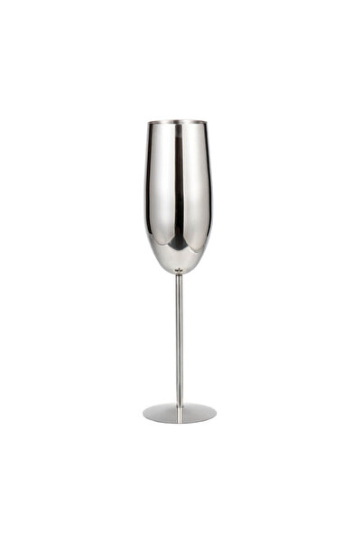 BIUPSER Set of 2 silver stainless steel champagne glasses, 250ml