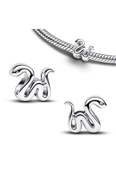 Choice55 AMC7343 925 Silver Charms Pendant Key Earth Letter Star Snake Shell ...