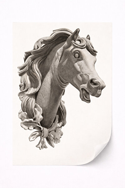 Viela Home Çerçevesiz At Başı Eskiz Poster Klasik Sanat Siyah Beyaz Duvar Tab...