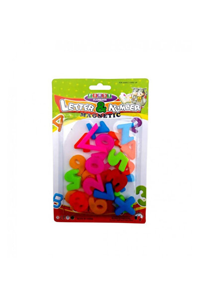 OEM Didactic magnetic figures