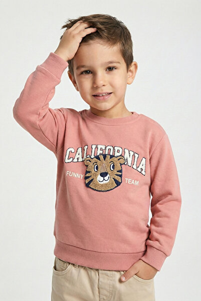 Dmb Момчешка калифорнийска забавна екипна блуза