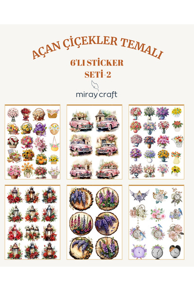 MirayDesign 6 listova seta naljepnica sa temom cvetajućih cveća – 12x17 cm za...