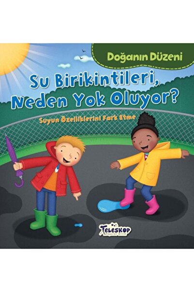 Genel Markalar Doğanın Düzeni Su Birikintileri Neden Yok Oluyor