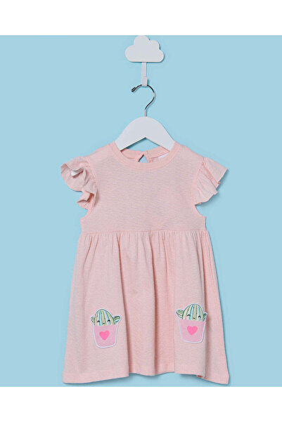 REDTAG Infant Girls Pink Dress With Applique