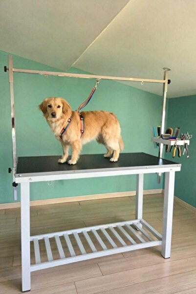 Kozmobed Veteriner Pet Bakım ve Muayene Masası Sabit Ayaklı