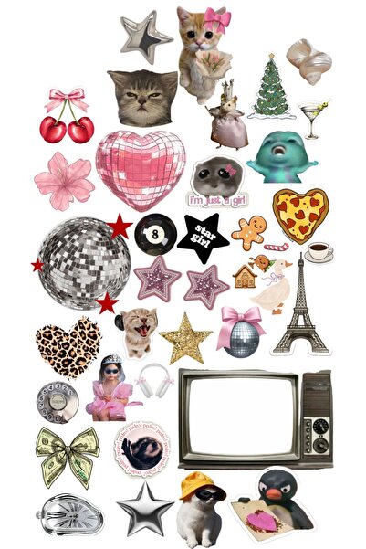 blanch Aesthetic Mini Sticker Seti – 30’lu Ajanda Günlük Defter İçin Sticer Y...