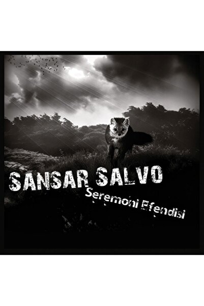 Allians Seremoni Efendisi Vinyl Plak - Sansar Salvo, Koleksiyon ve Dinleme Keyfi