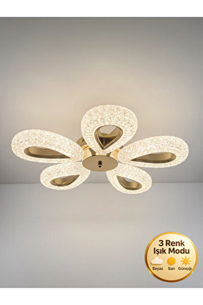 Litra Lighting Damla Model 5"li Gold 3 Renk Modu Ledli Modern Tavana sıfır Sa...