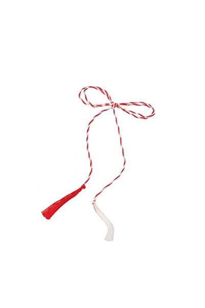 OEM Set 11 Martie 50 buc - cartonaș, țiplă, șnur