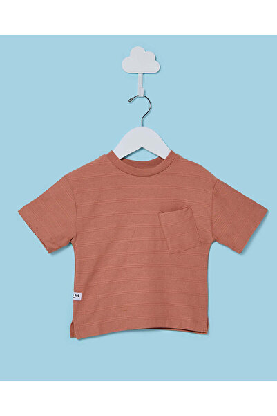 REDTAG Infant Boys Brown Solid T-shirt