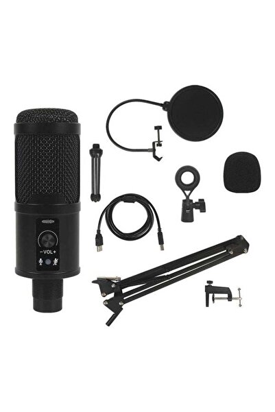 Generic Professional Studio Recording Condenser Microphone Kit