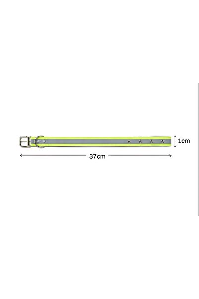 NORDVIA E-COMMERCE طوق كلب عاكس قابل للتعديل - 37 سم / 1 سم